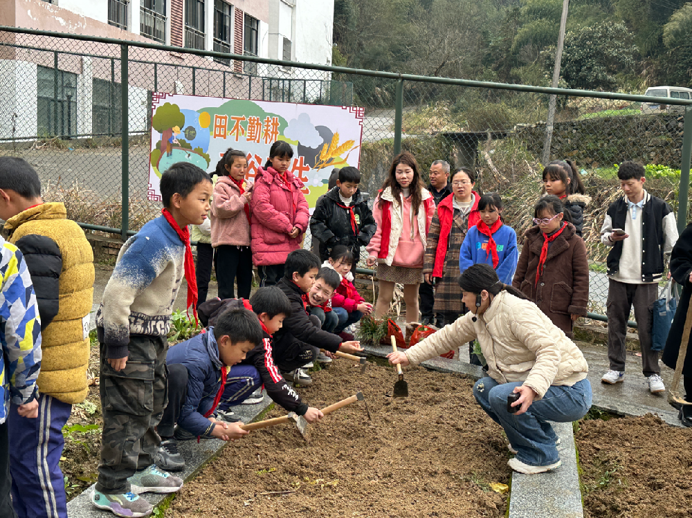 共筑绿色梦，植树节我们在行动