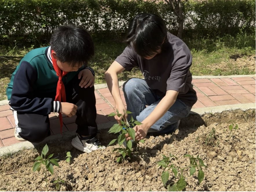 袁州区水江小学：以劳动立德   为“双减”赋能