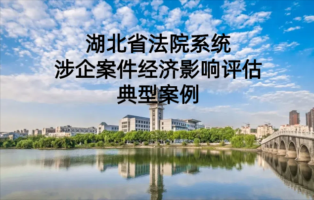 湖北省法院系统涉企案件经济影响评估典型案例二：保交楼护稳定 府院联动解难题