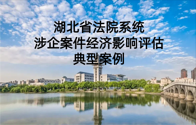 湖北省法院系统涉企案件经济影响评估典型案例三：依法保护“政府+银行”应急循环资金 保障民企融资渠道畅通