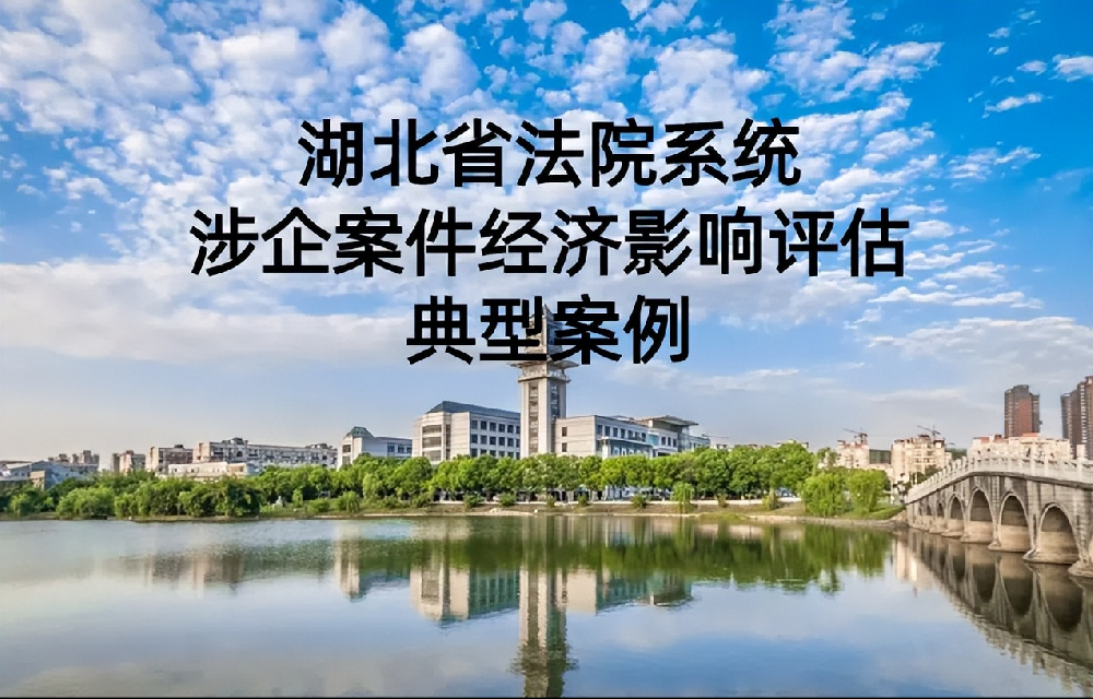 湖北省法院系统涉企案件经济影响评估典型案例十四：预重整化解退市危机 50天跑出拯救加速度